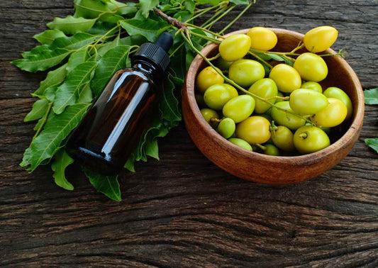 Les bienfaits de l’huile de neem